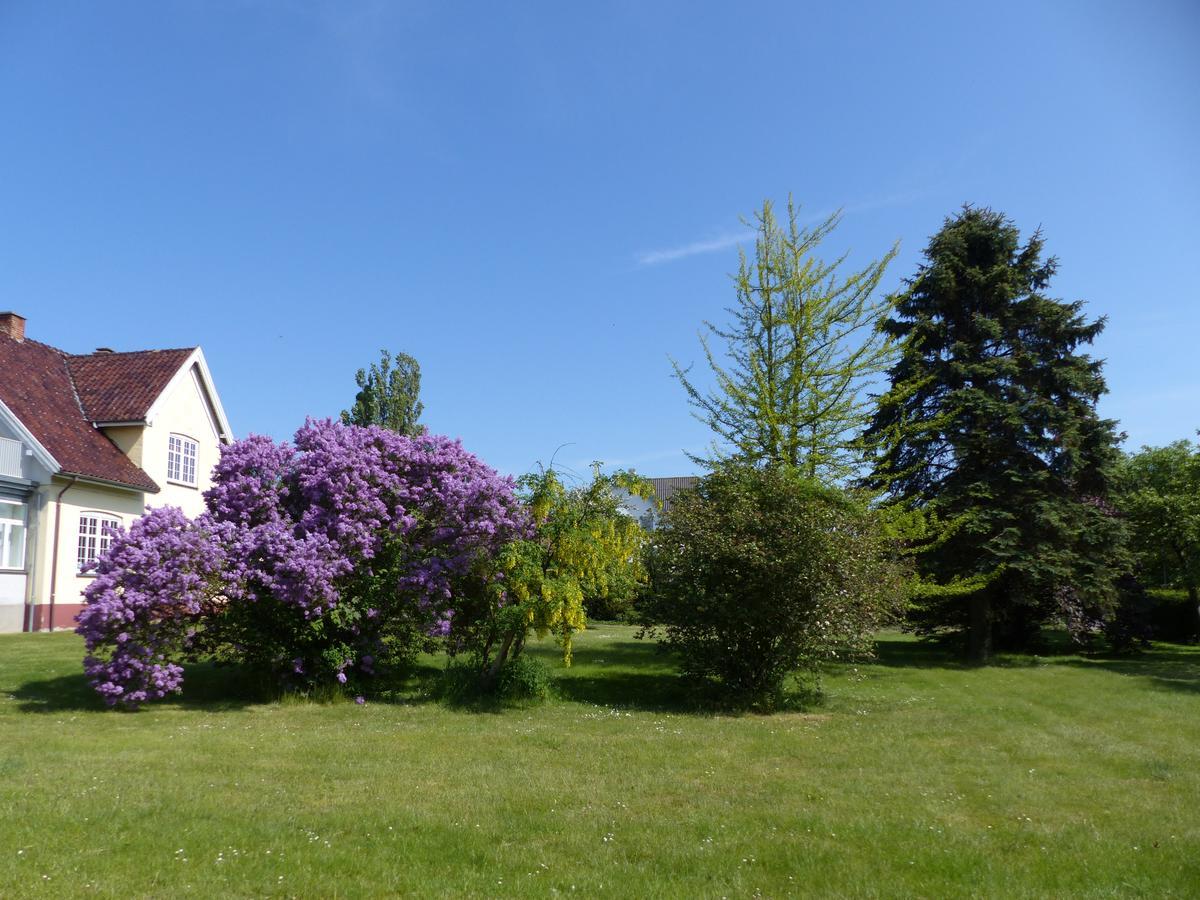 Birkely Bed And Breakfast 스테지 외부 사진